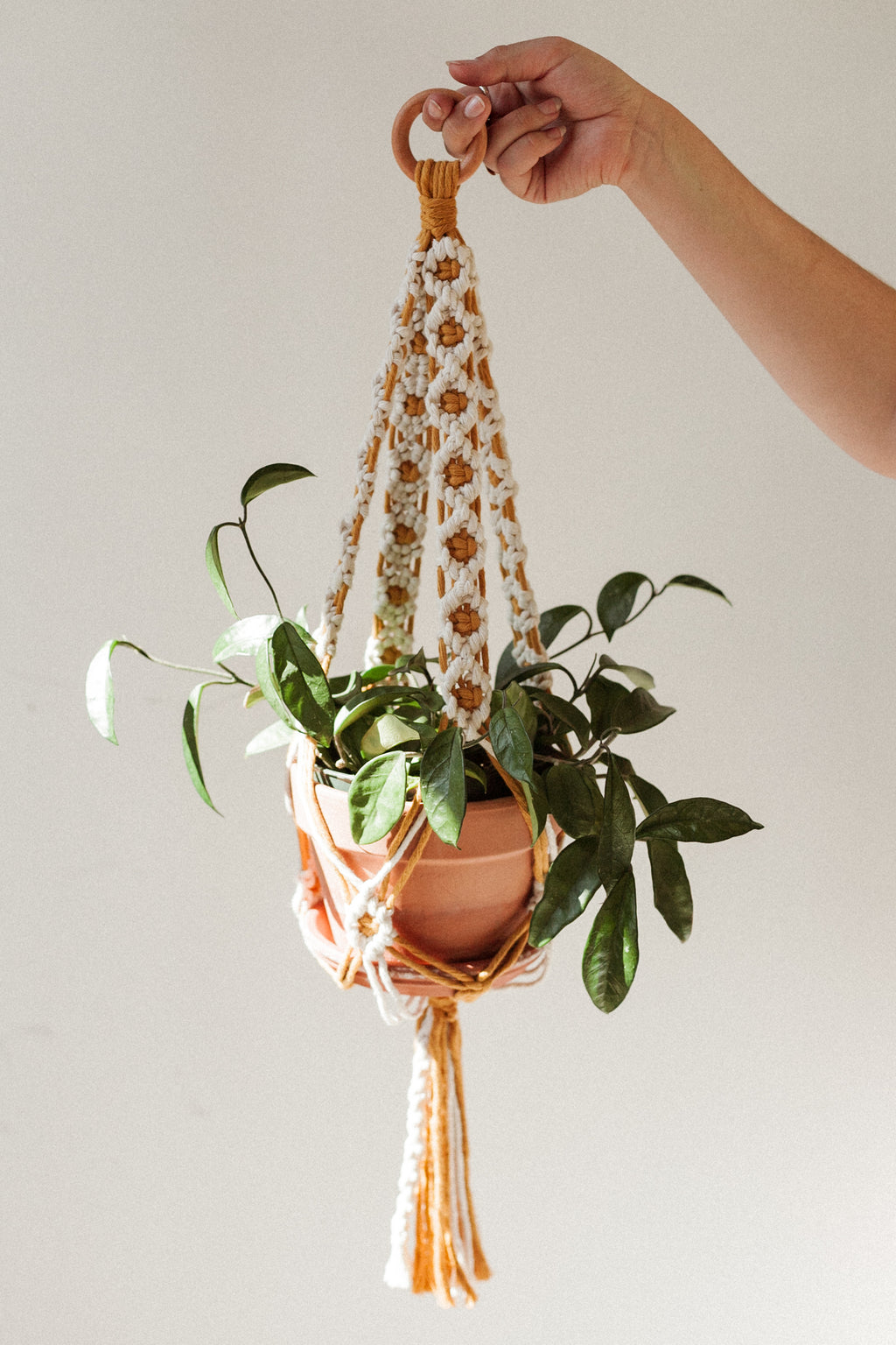 DIY Daisy Chain Macrame Plant Hanger Kit — That Knot Place